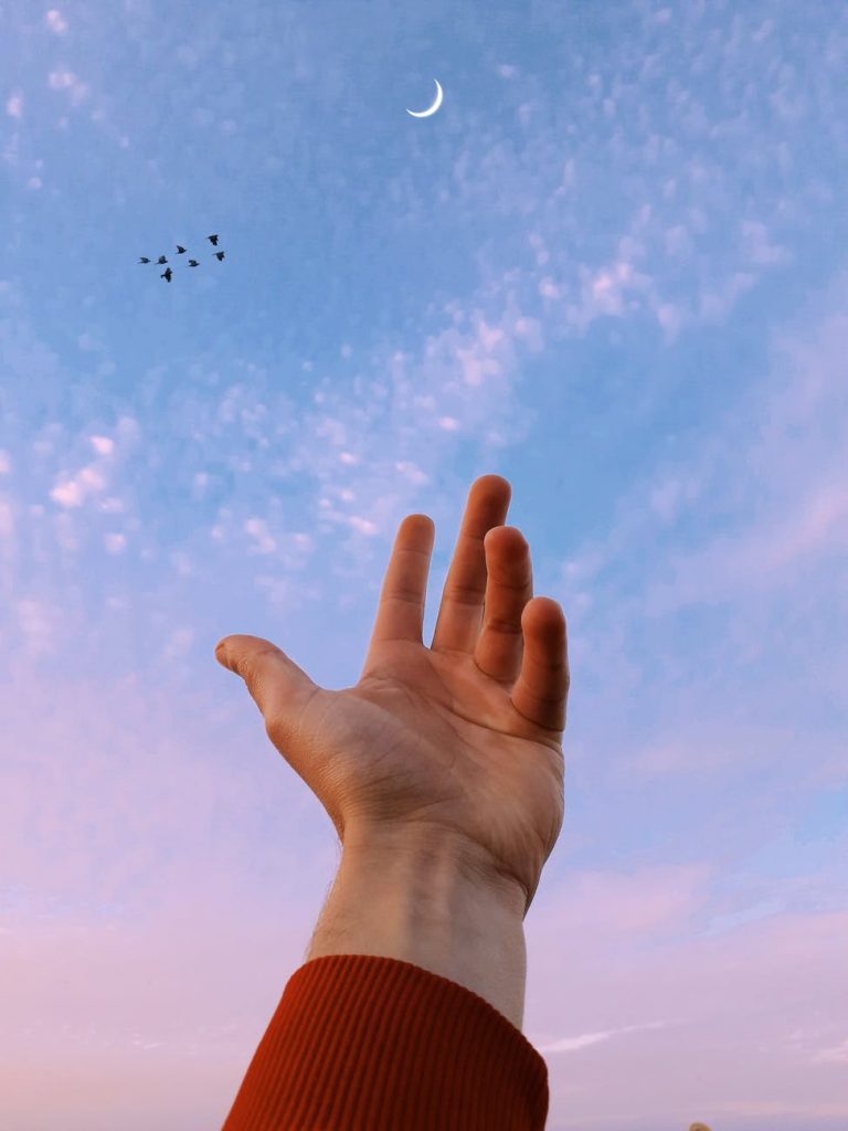 shallow focus photo of person s left hand