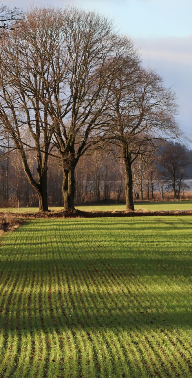 Langeweile im Leben