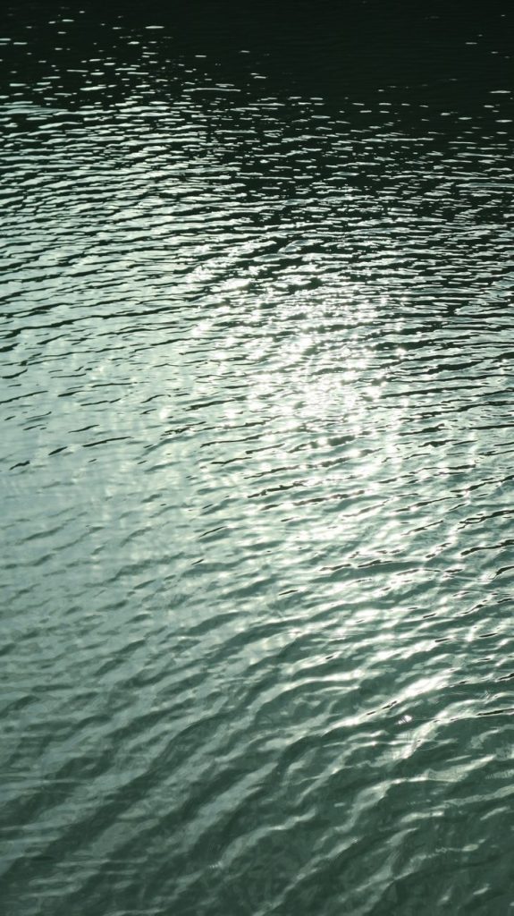 tranquil water ripples with sunlight reflection
