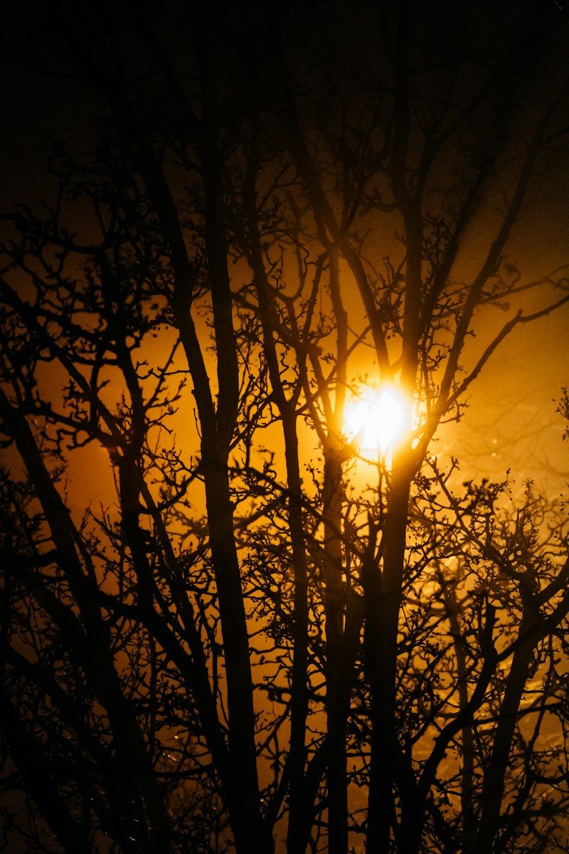 IMPULS-PODCAST – Jesus ist das Licht der Welt